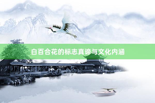 白百合花的标志真谛与文化内涵